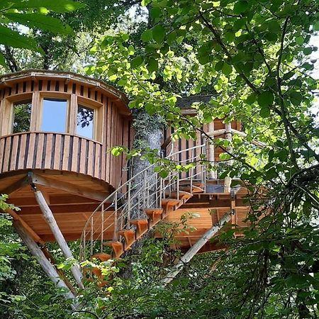 Caban'Aspe Villa Accous Exteriör bild
