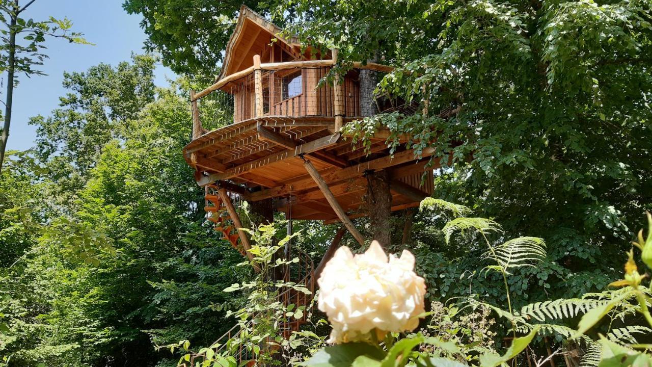 Caban'Aspe Villa Accous Exteriör bild